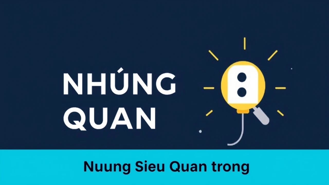 Hướng Dẫn Việc Gửi Đơn Kháng Nghị DMCA: Những Điều Quan Trọng